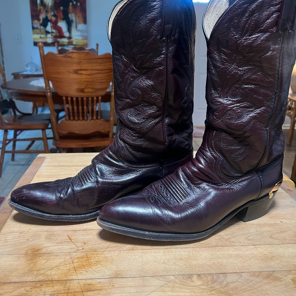 Dan Post Cordovon western boots